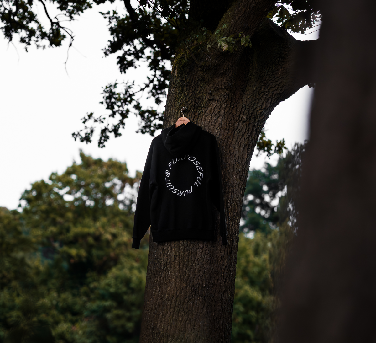 Black Prelude Hoodie from Origin. hanging from a tree branch.