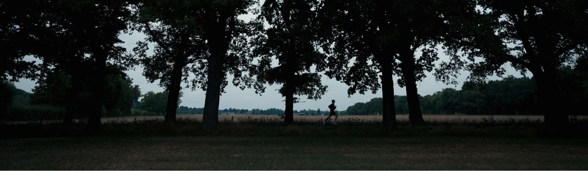 Founder Origin. running along a dirt track through the trees with a nature view in the background during a campaign scene from Origin.