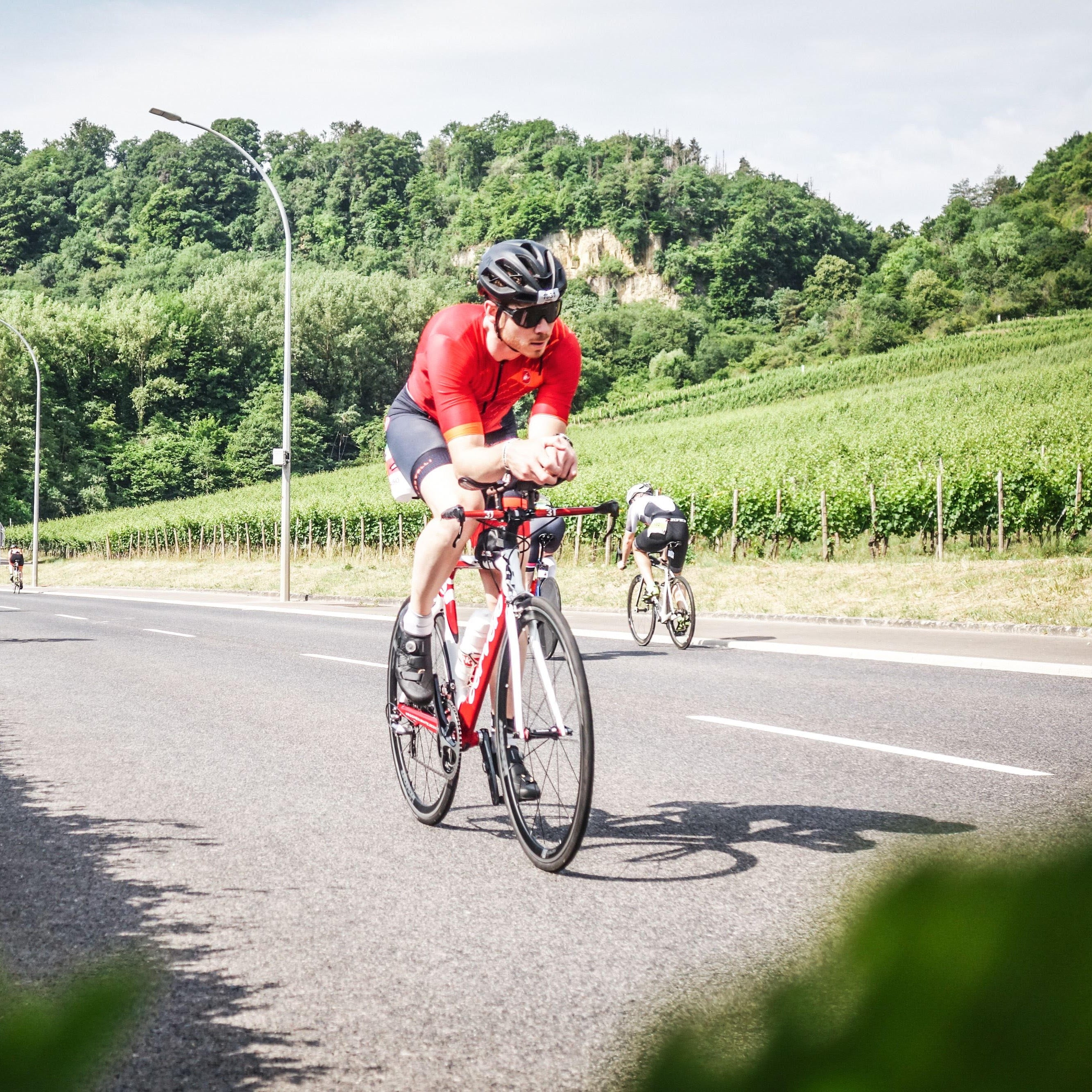 Roy cycling on a road with vineyards and trees in the background.