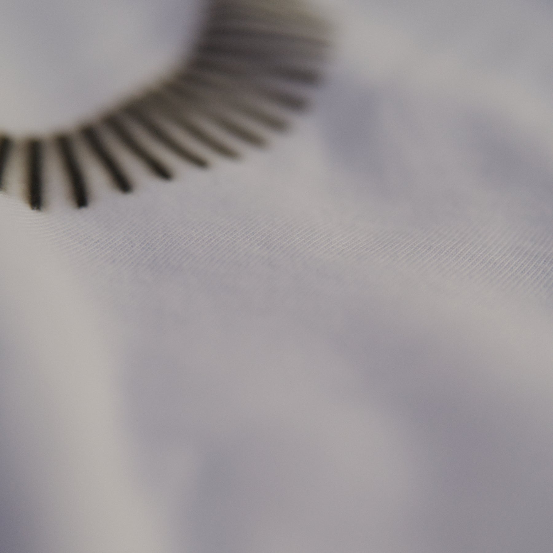 Back detail of The Slash Tee Origin. in white, featuring back screen print on organic cotton fabric.